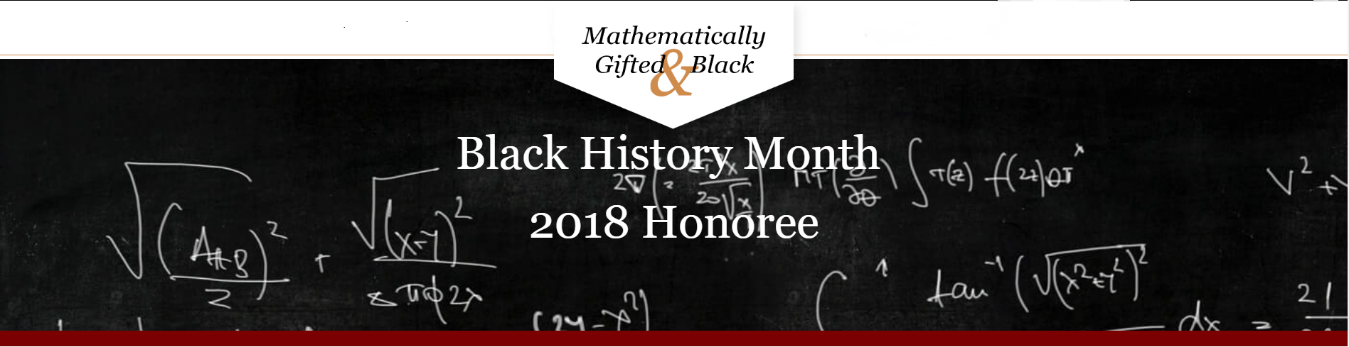 Mathematically Gifted & Black
